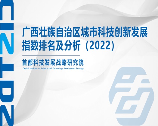 性生活女生啪啪啪摸胸在线视频【成果发布】广西壮族自治区城市科技创新发展指数排名及分析（2022）